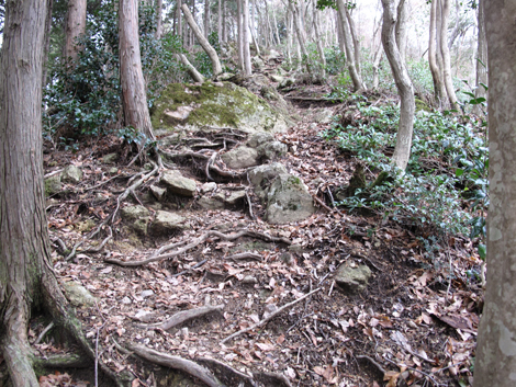 20140102hike (78)
